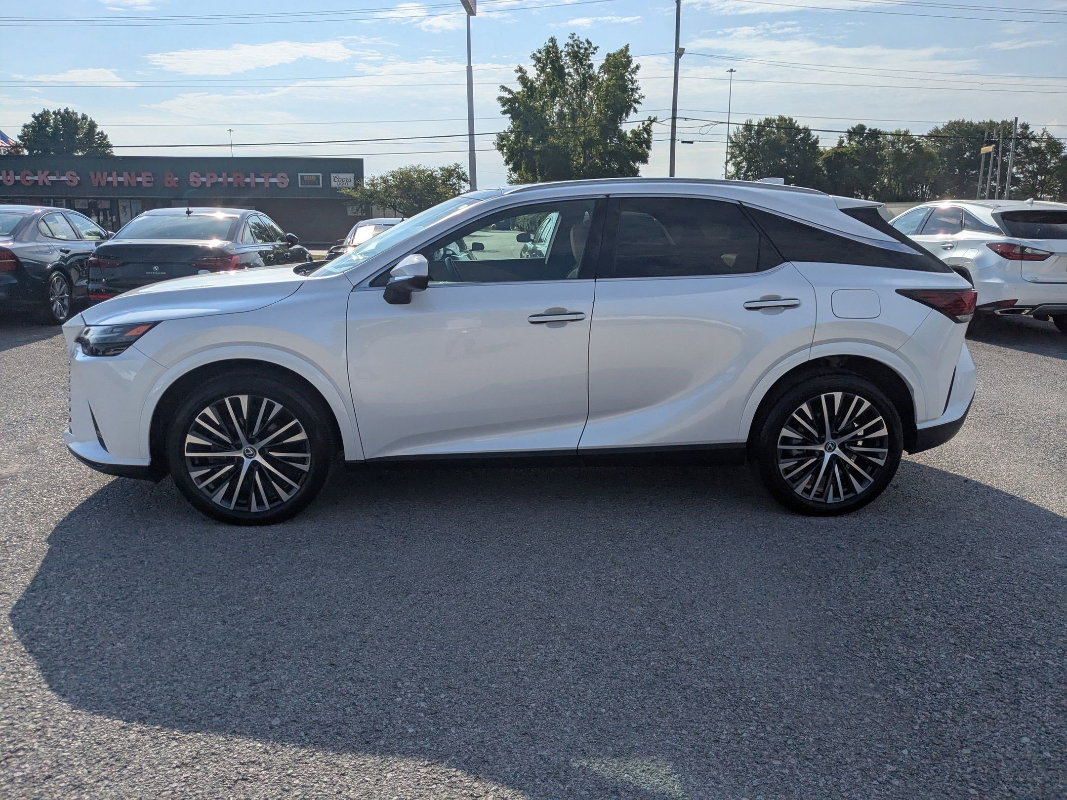 2023 Lexus RX 350h Premium photo 8