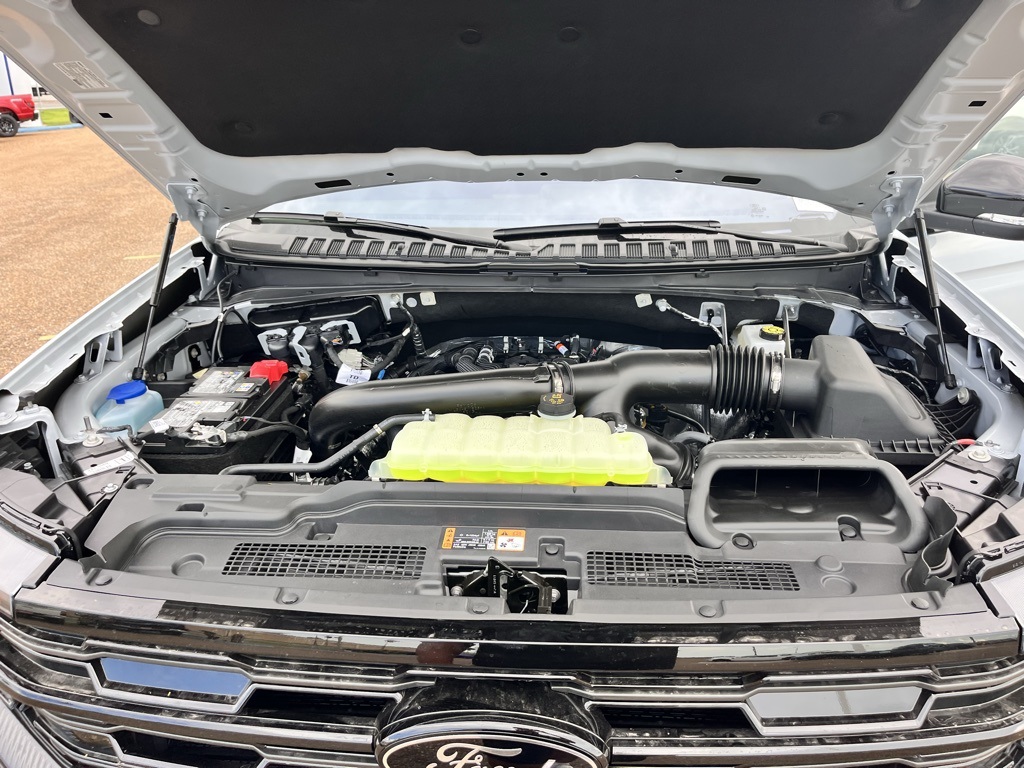 2025 Ford Expedition Platinum photo 25