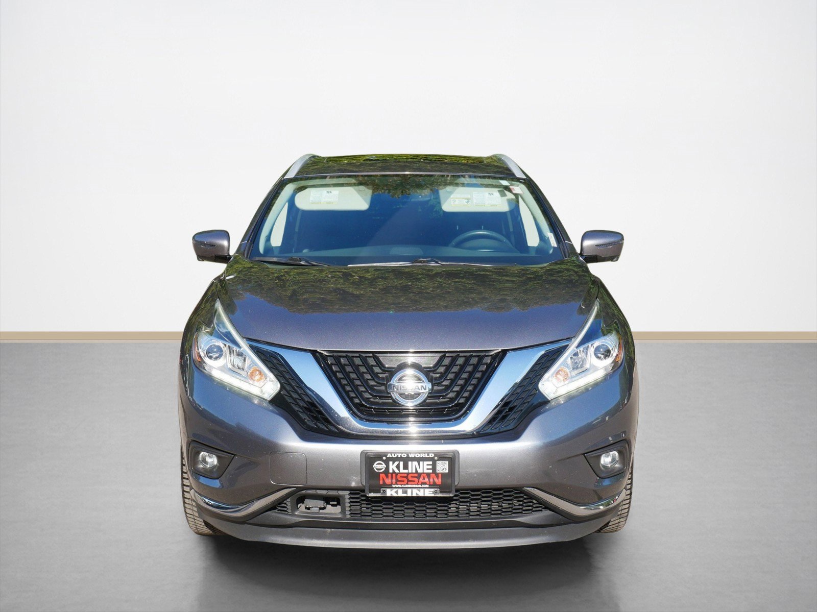 2017 Nissan Murano Platinum photo 8