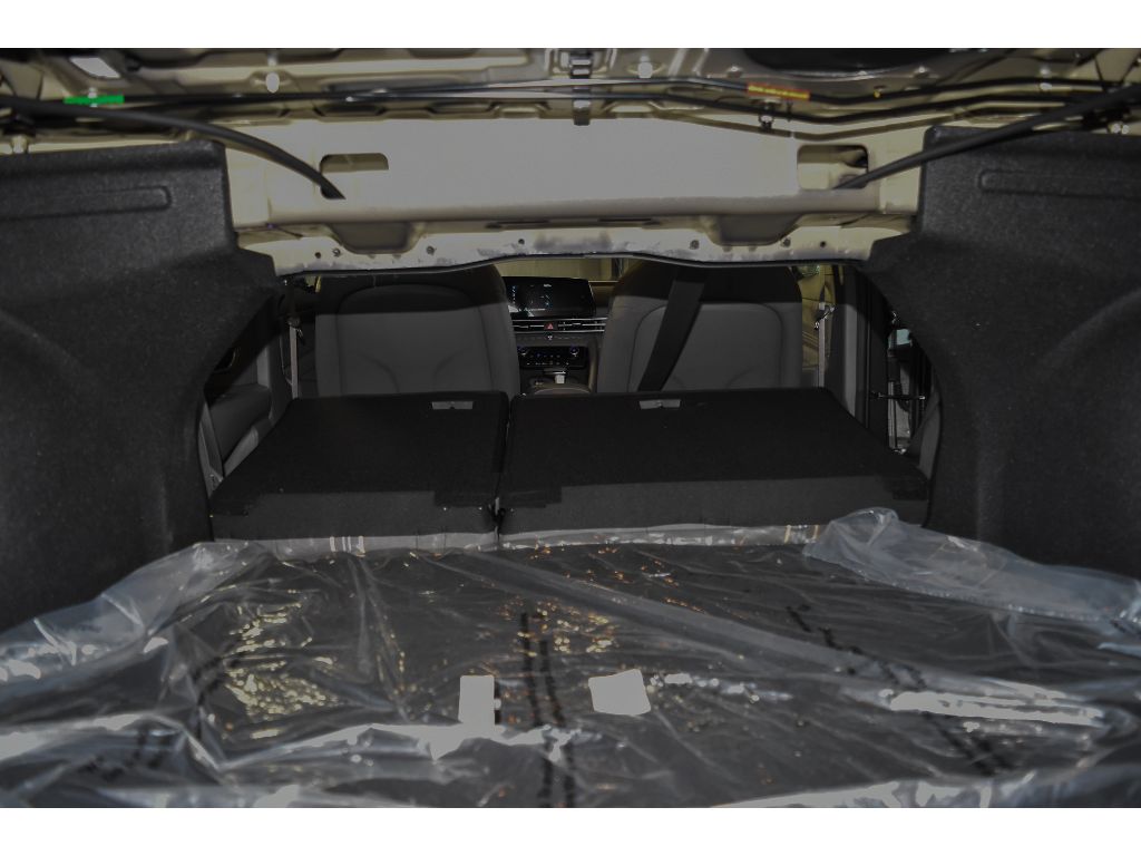 2024 Hyundai Elantra SEL Convenience photo 24