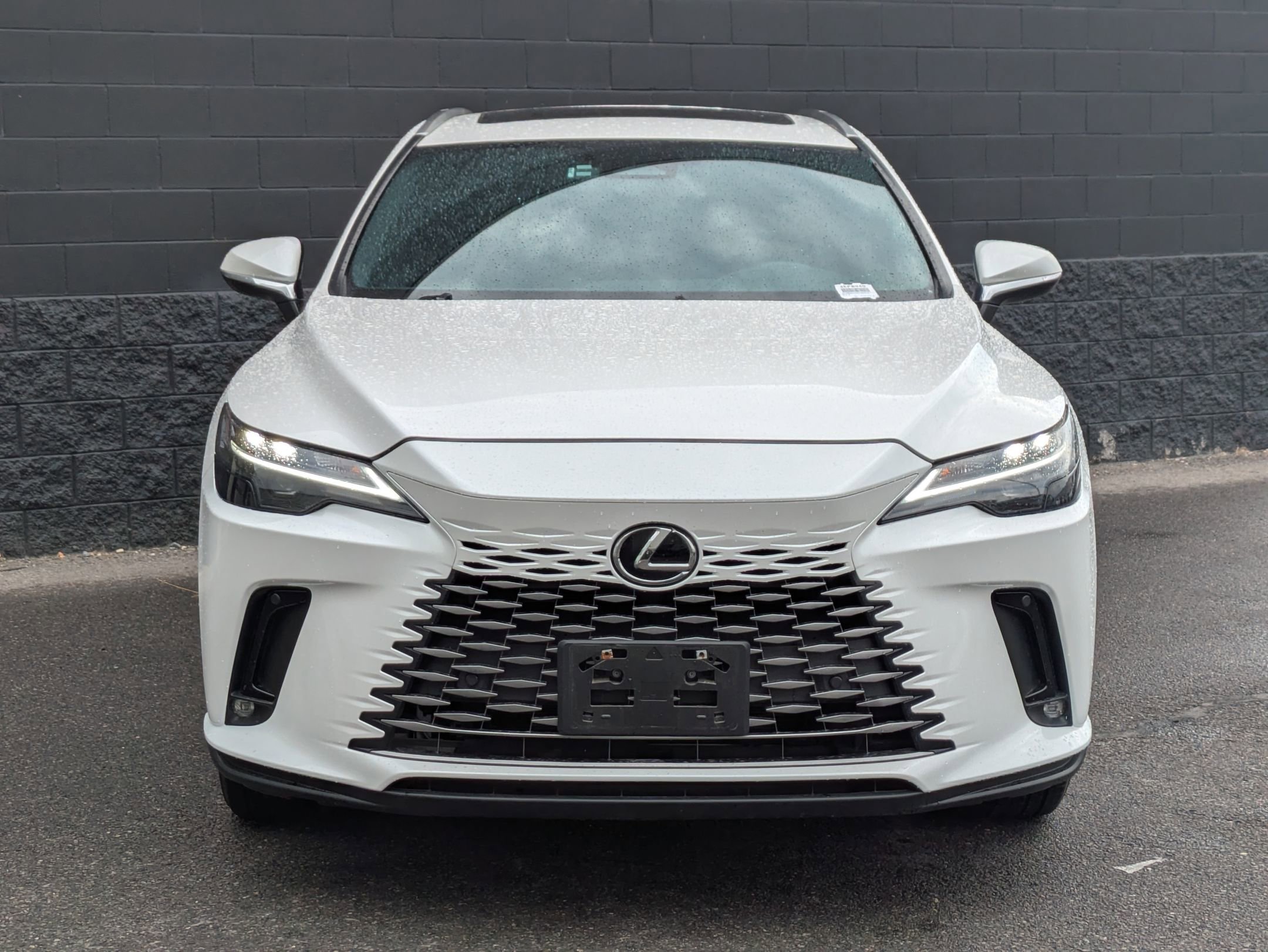 2023 Lexus RX 350h Luxury photo 2