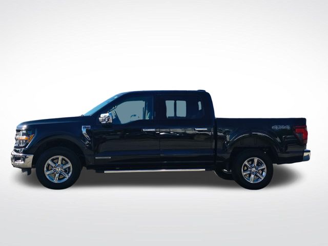 2024 Ford F-150 XLT photo 14
