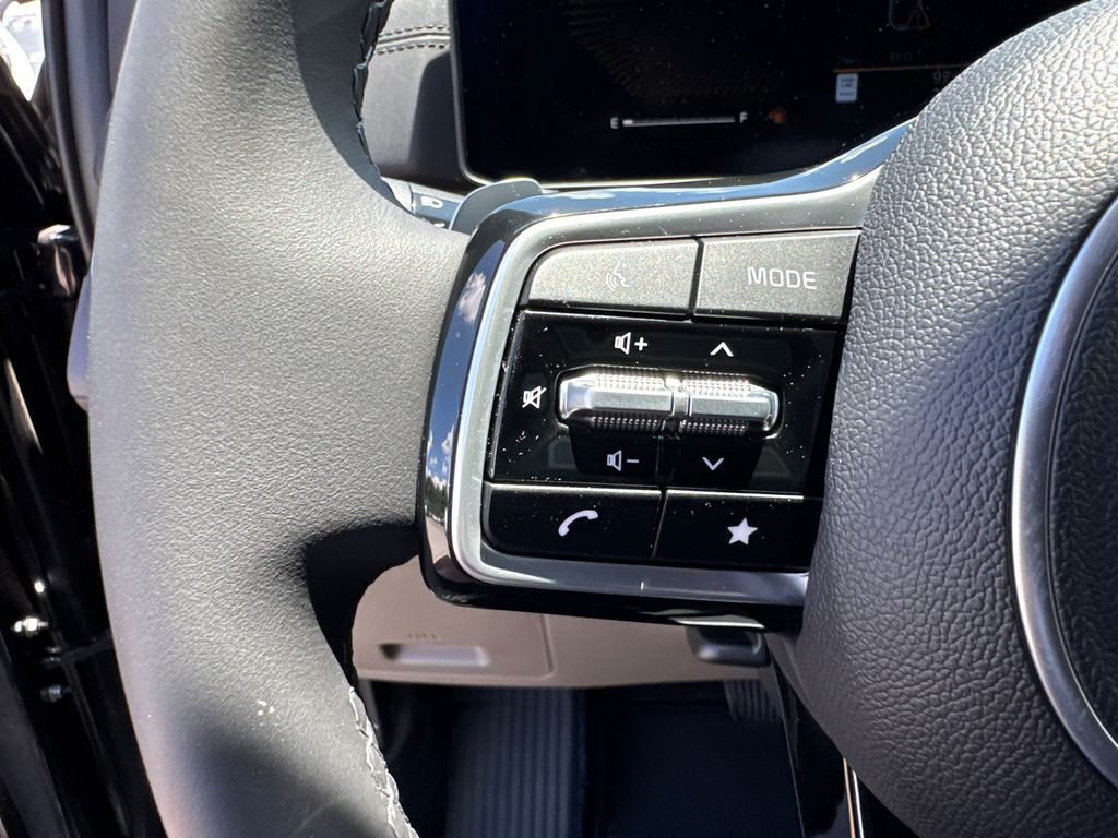 2025 Kia Carnival EX photo 21