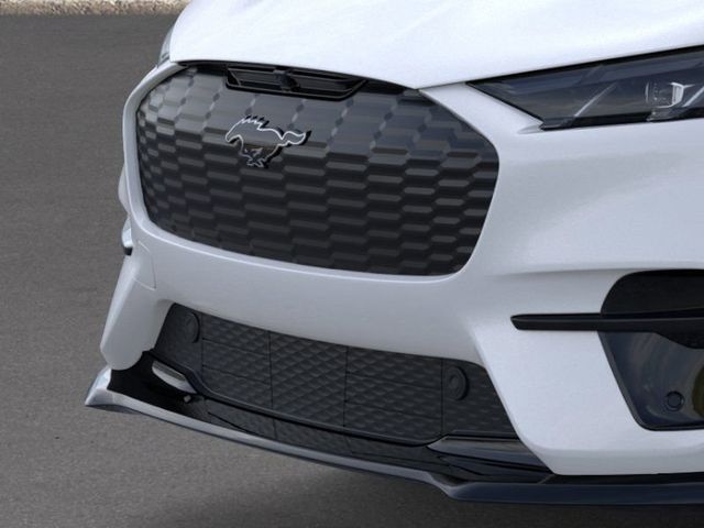 2025 Ford Mustang Mach-E GT photo 15