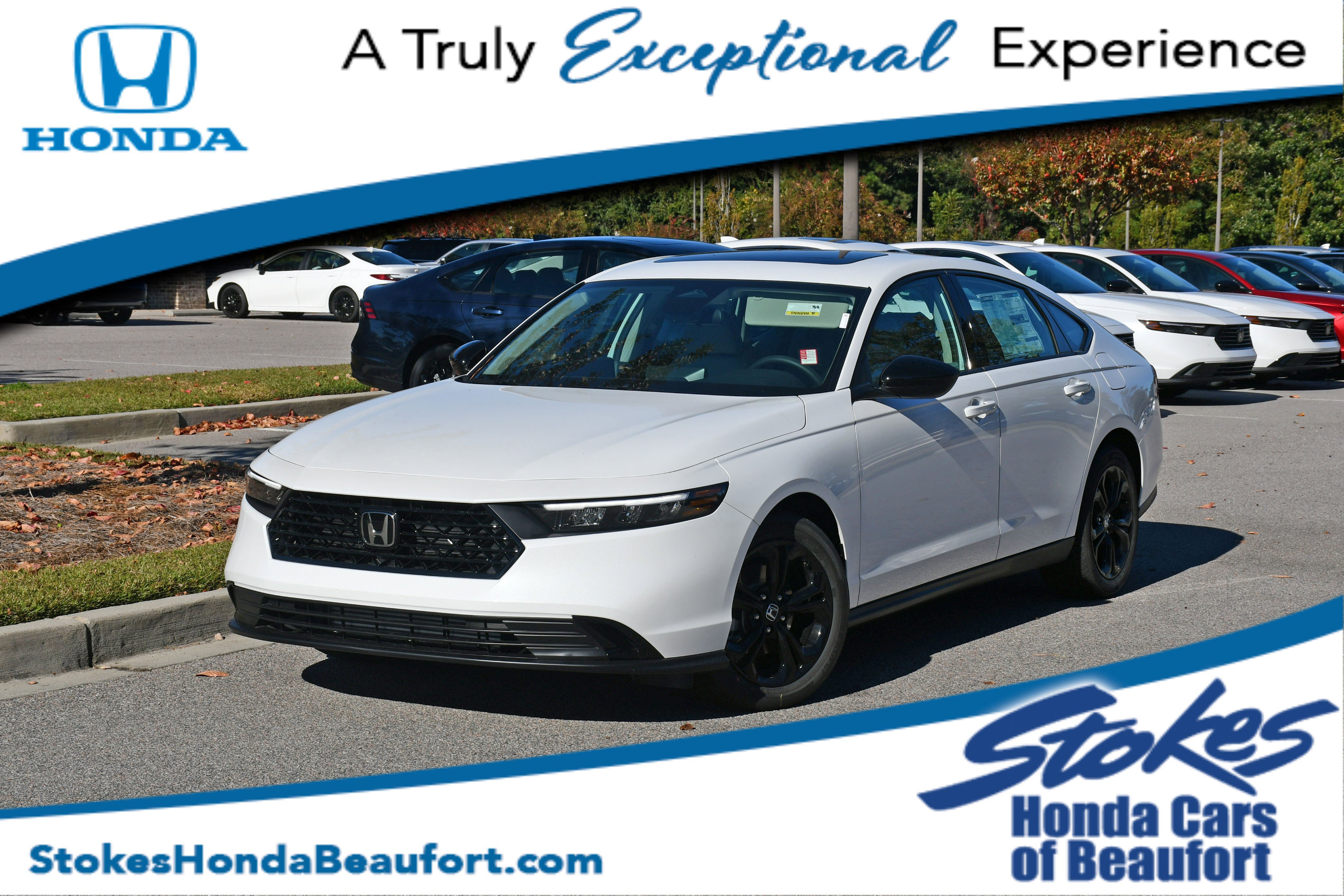 2025 Honda Accord SE's photo