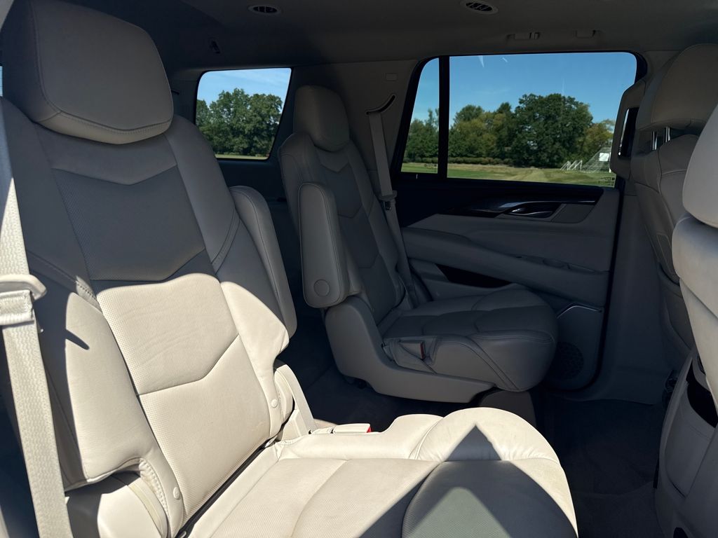 2018 Cadillac Escalade Luxury photo 18