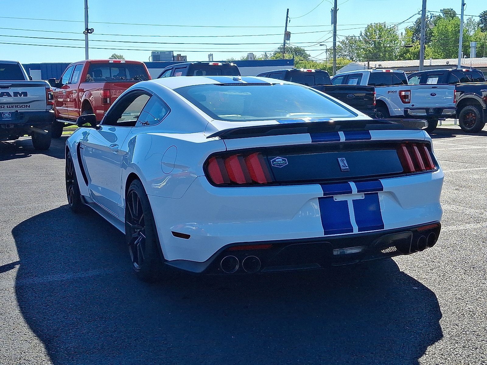 2016 Ford Mustang Shelby GT350 photo 8