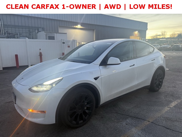 2024 Tesla Model Y Long Range's photo