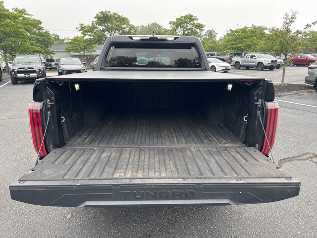 2023 Toyota Tundra 1794 Edition photo 10