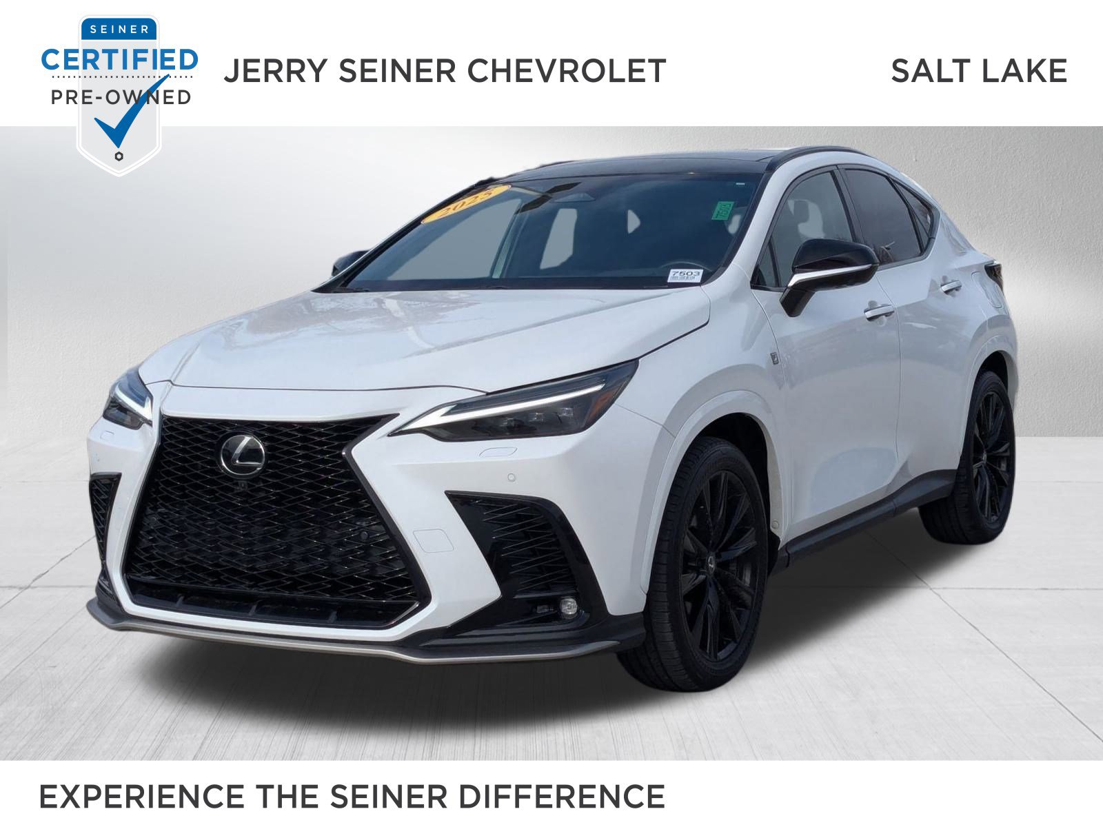 2025 Lexus NX 350's photo