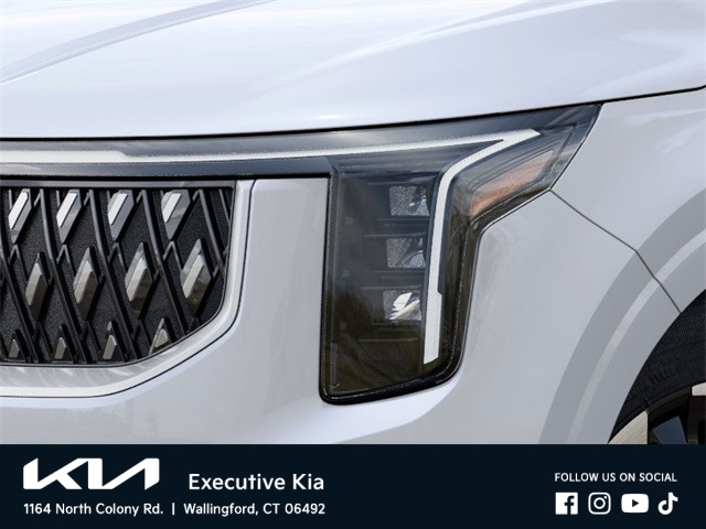 2025 Kia Carnival EX photo 9