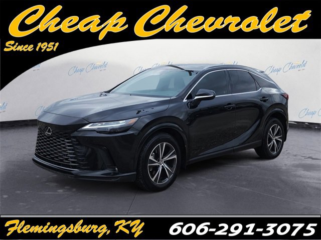 2024 Lexus RX 350's photo