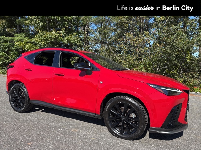 2024 Lexus NX PHEV 450h+'s photo