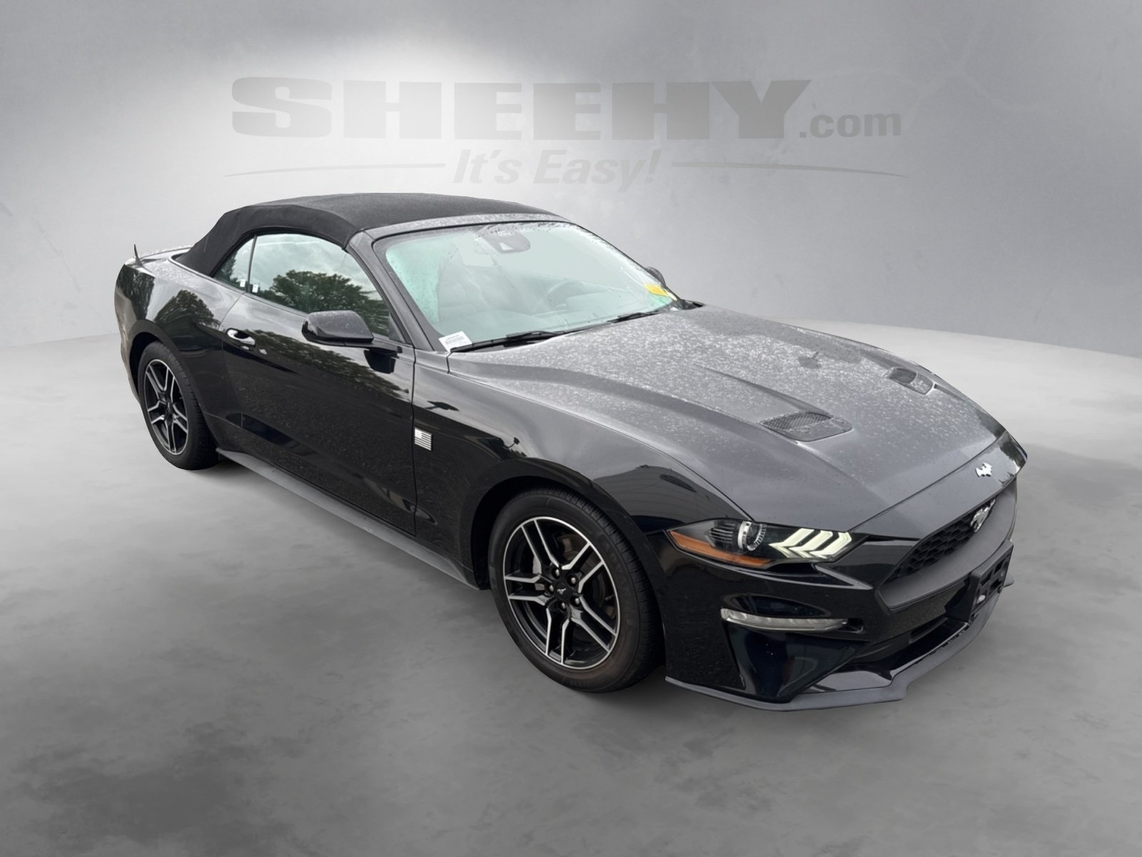 2023 Ford Mustang EcoBoost Premium photo 2