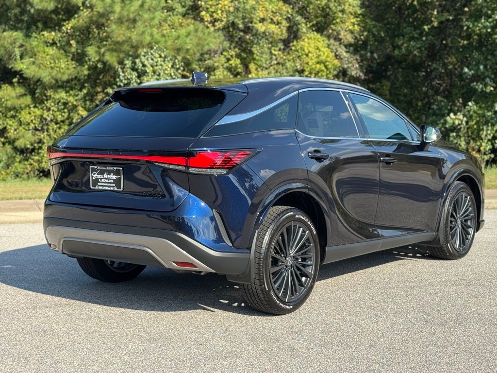 2025 Lexus RX 350 Premium AWD photo 6