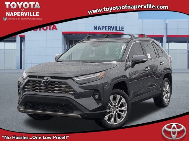 2025 Toyota RAV4 Limited's photo