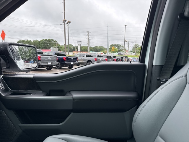 2025 Ford F-150 Lightning photo 35