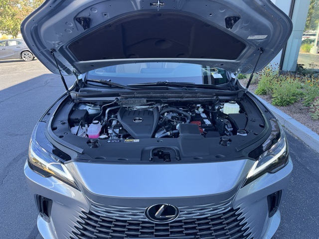 2025 Lexus RX 350 Premium photo 6