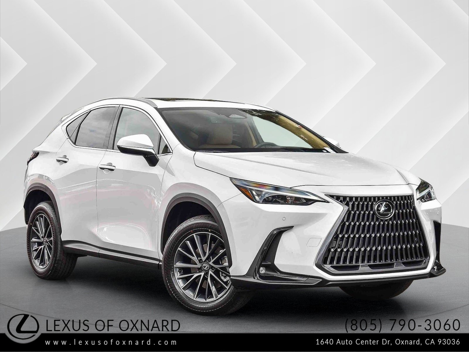 2026 Lexus NX 350's photo