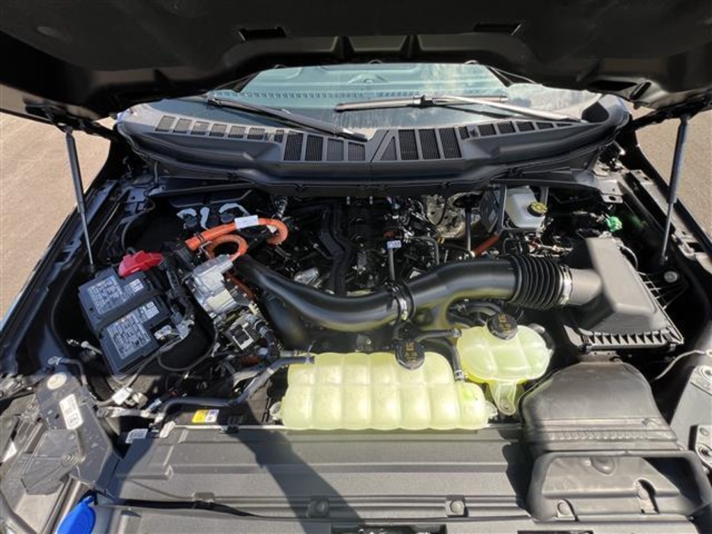 2025 Ford F-150 XLT photo 8