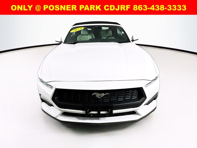 2024 Ford Mustang EcoBoost Premium photo 2