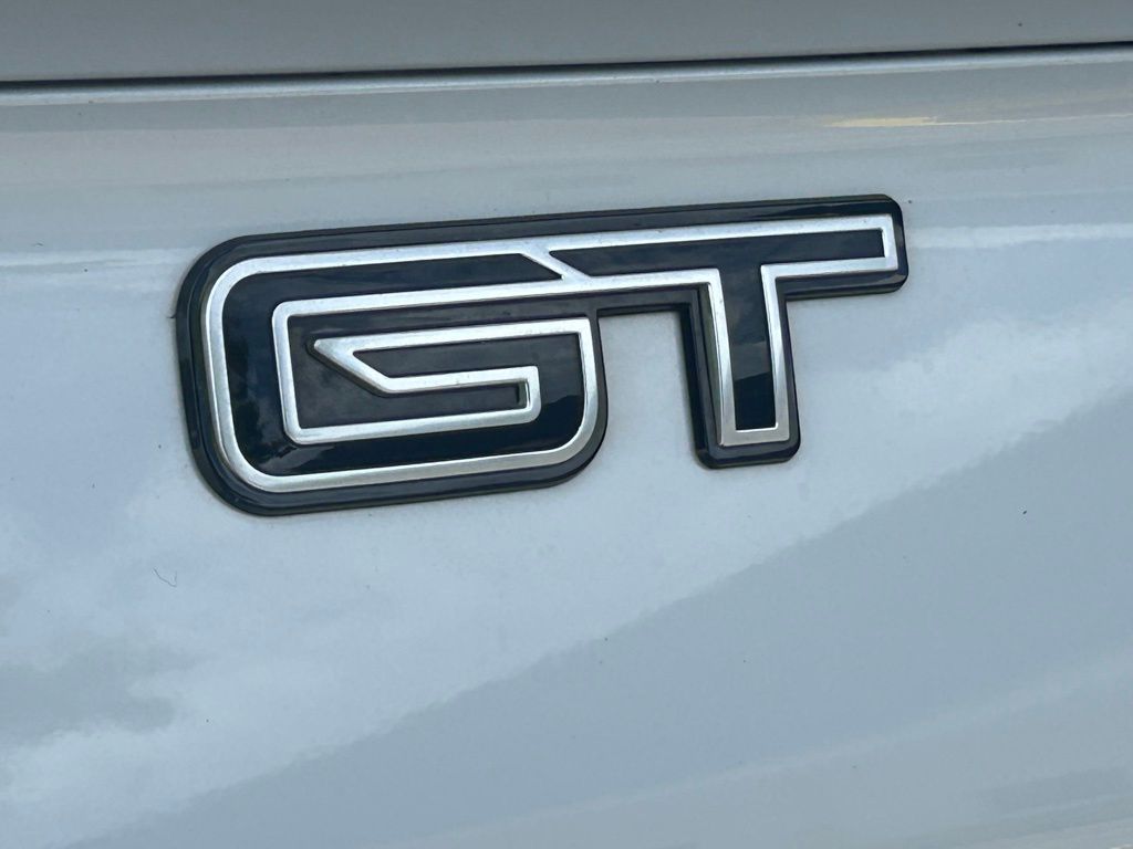 2022 Ford Mustang Mach-E GT photo 21