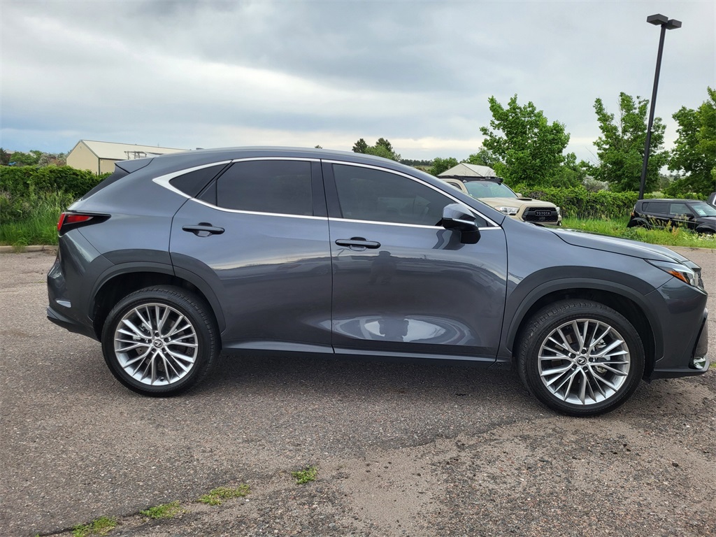 2024 Lexus NX 350h Luxury photo 3