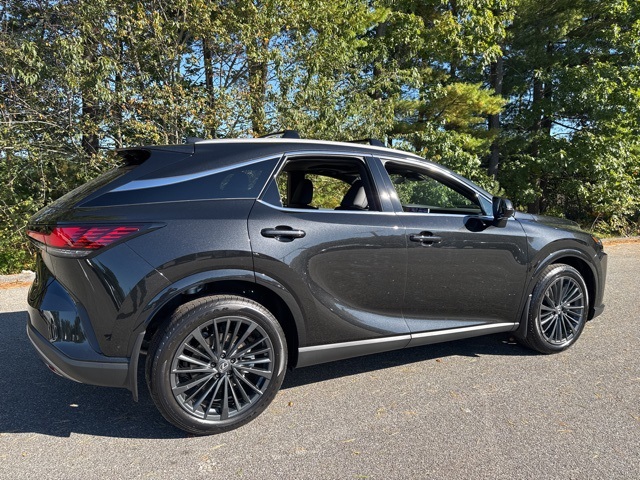 2025 Lexus RX 350 Premium photo 3
