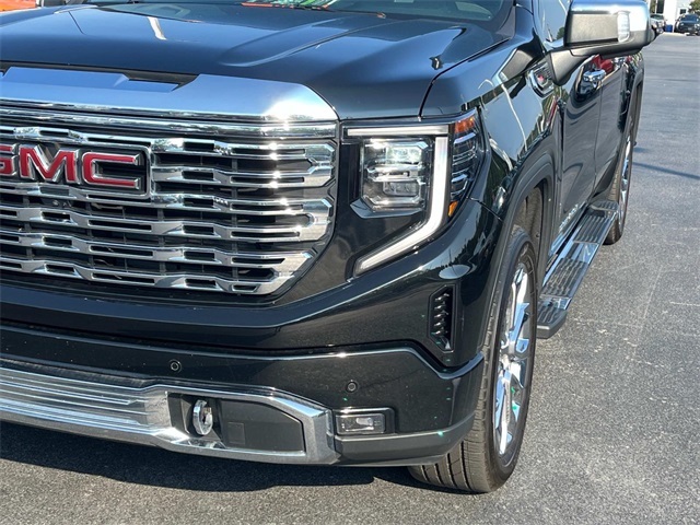 2023 Gmc Sierra 1500 Denali photo 10