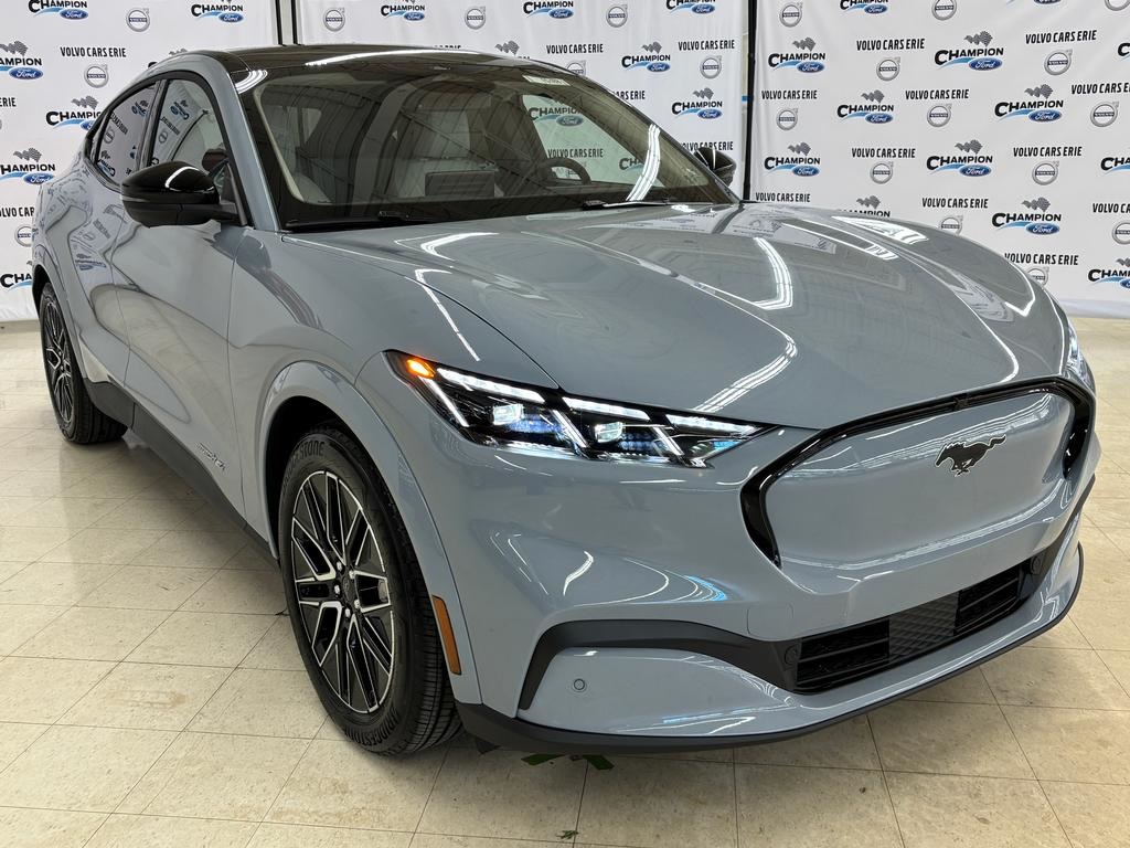 2025 Ford Mustang Mach-E Premium AWD's photo