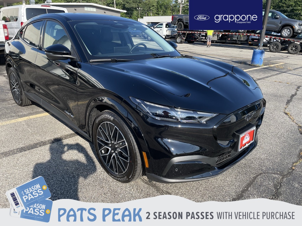 2025 Ford Mustang Mach-E Premium AWD's photo