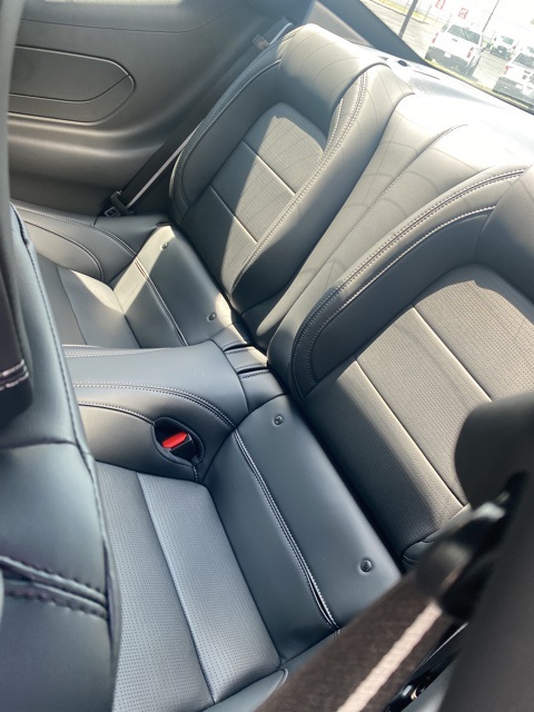 2025 Ford Mustang GT Premium photo 29