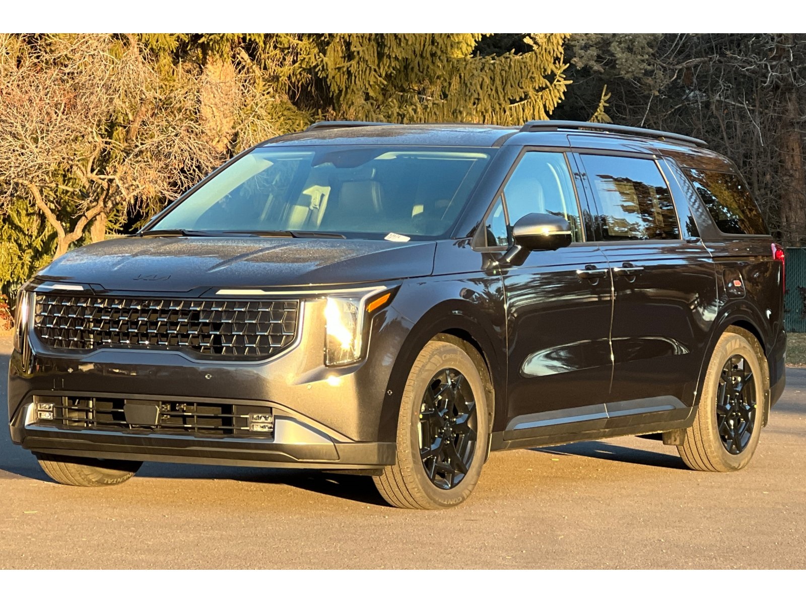 2025 Kia Carnival SX photo 7