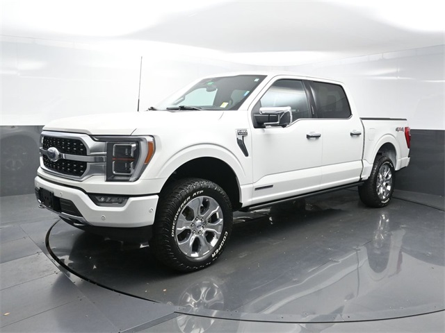 2023 Ford F-150 Platinum photo 3