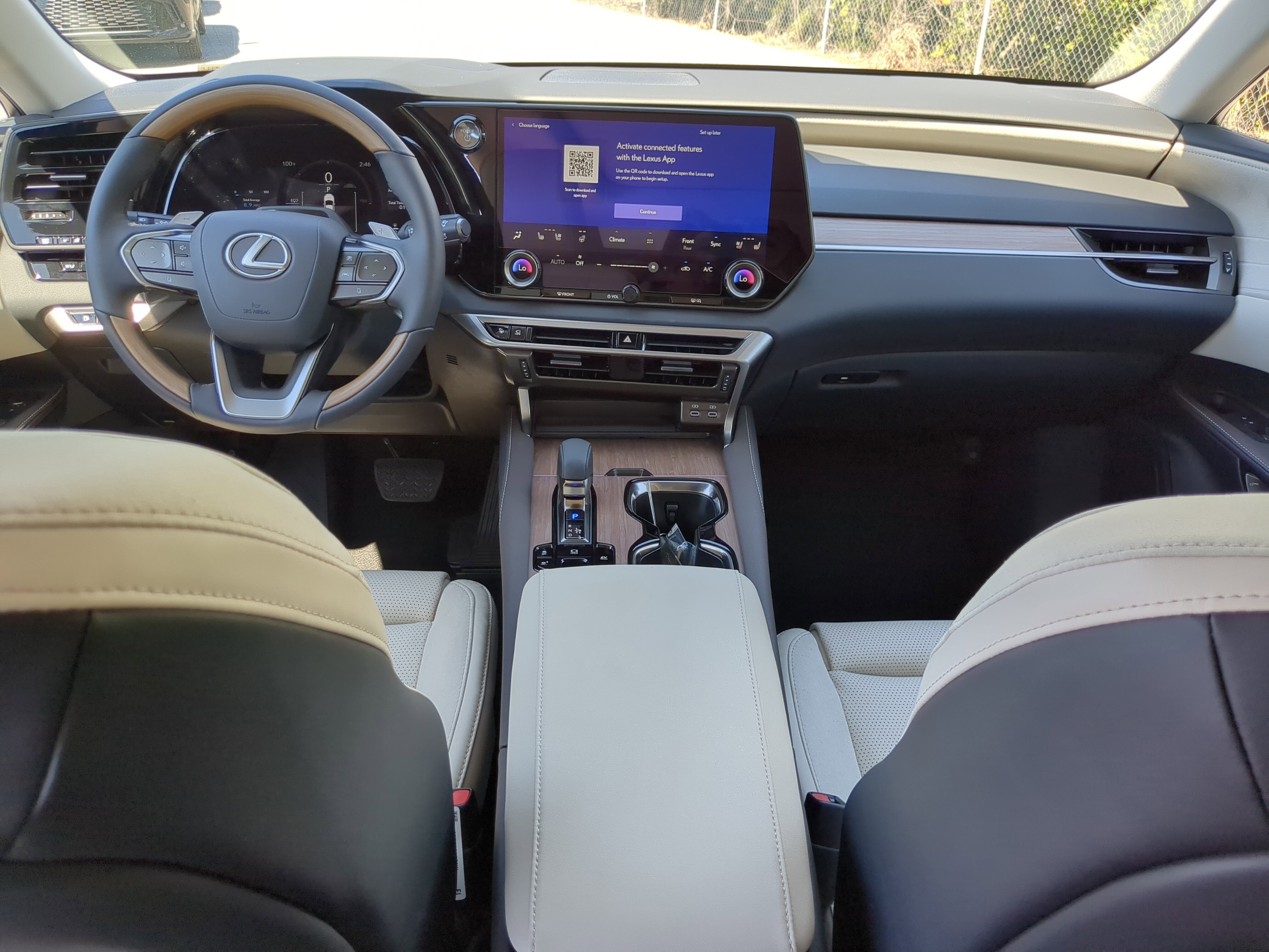 2025 Lexus RX 350h Luxury photo 10