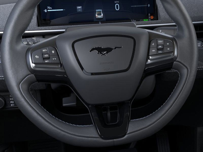 2025 Ford Mustang Mach-E GT photo 12