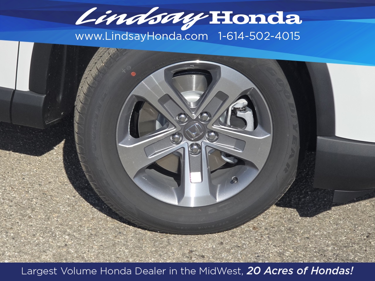 2025 Honda Pilot EX-L photo 7