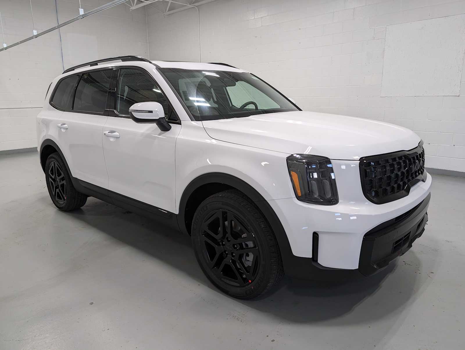 2025 Kia Telluride EX X-Line photo 6