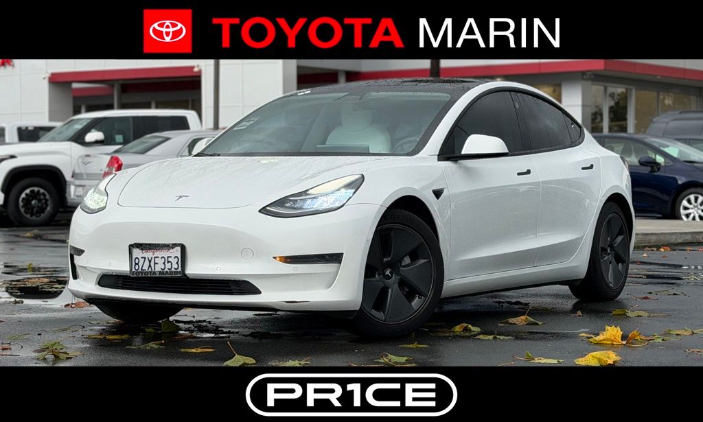 2021 Tesla Model 3 Base's photo