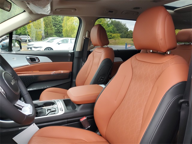 2026 Kia Carnival SX photo 14