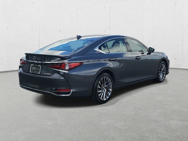 2024 Lexus ES 300h Luxury photo 5