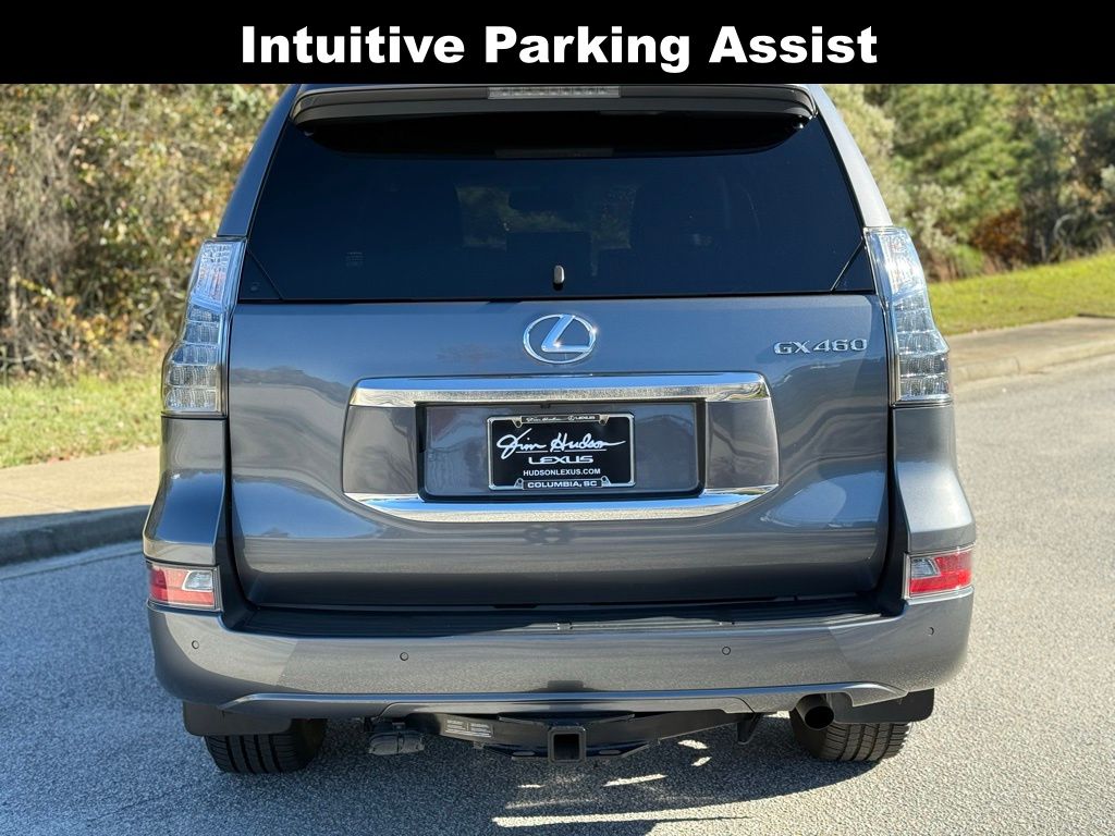 2017 Lexus GX 460 photo 3