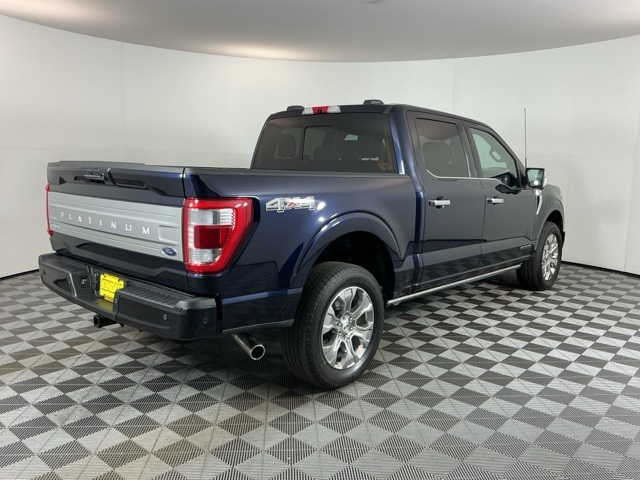 2023 Ford F-150 Platinum photo 4