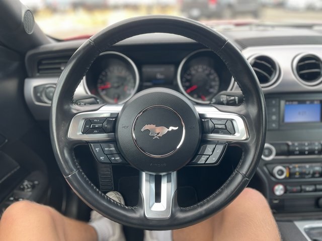 2021 Ford Mustang GT photo 18