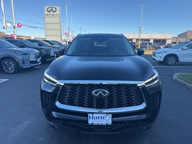 2024 Infiniti QX60 Luxe photo 2