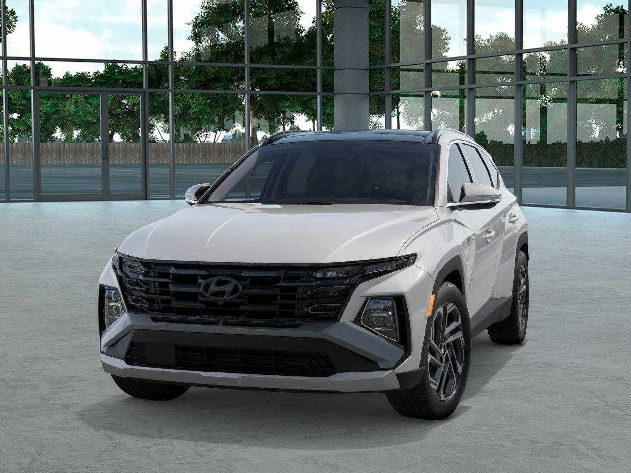 2025 Hyundai Tucson Hybrid Limited photo 4