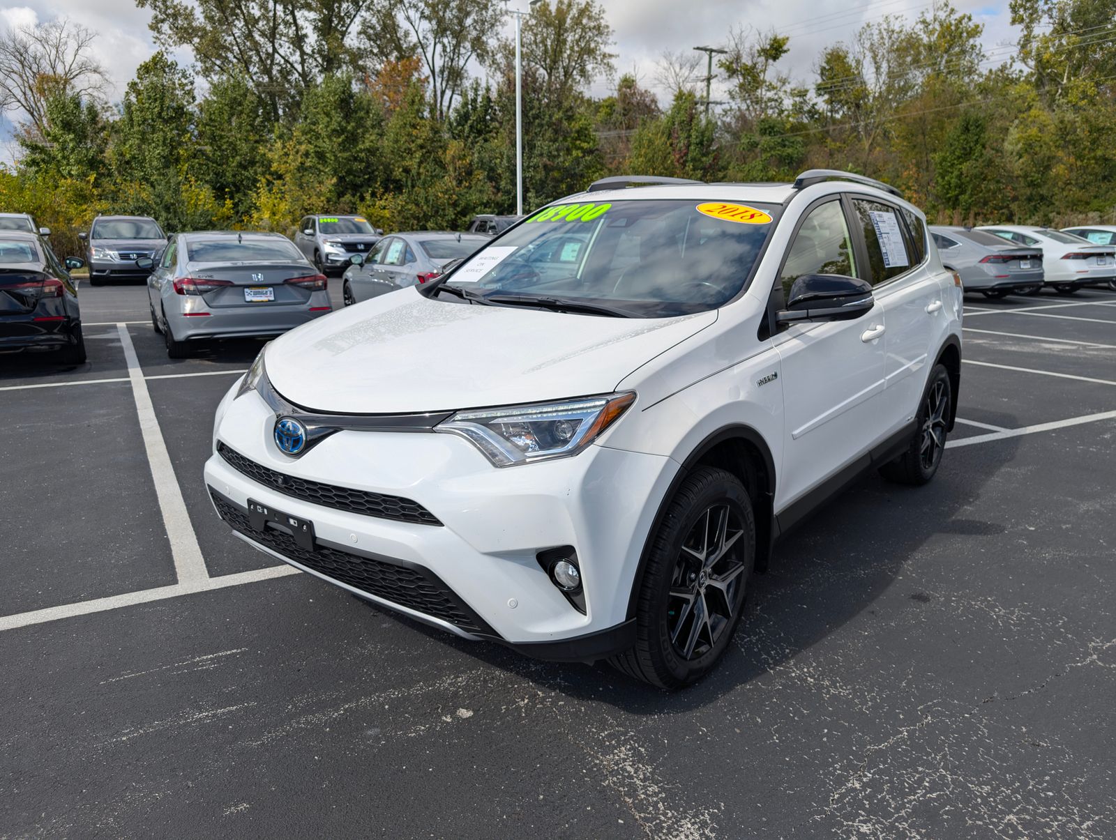 2018 Toyota RAV4 Hybrid SE photo 2
