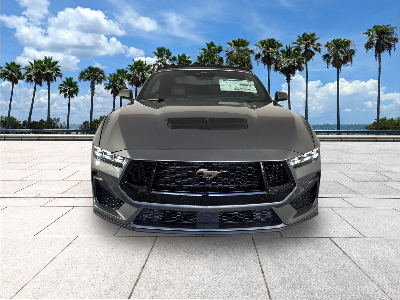 2025 Ford Mustang GT Premium photo 3