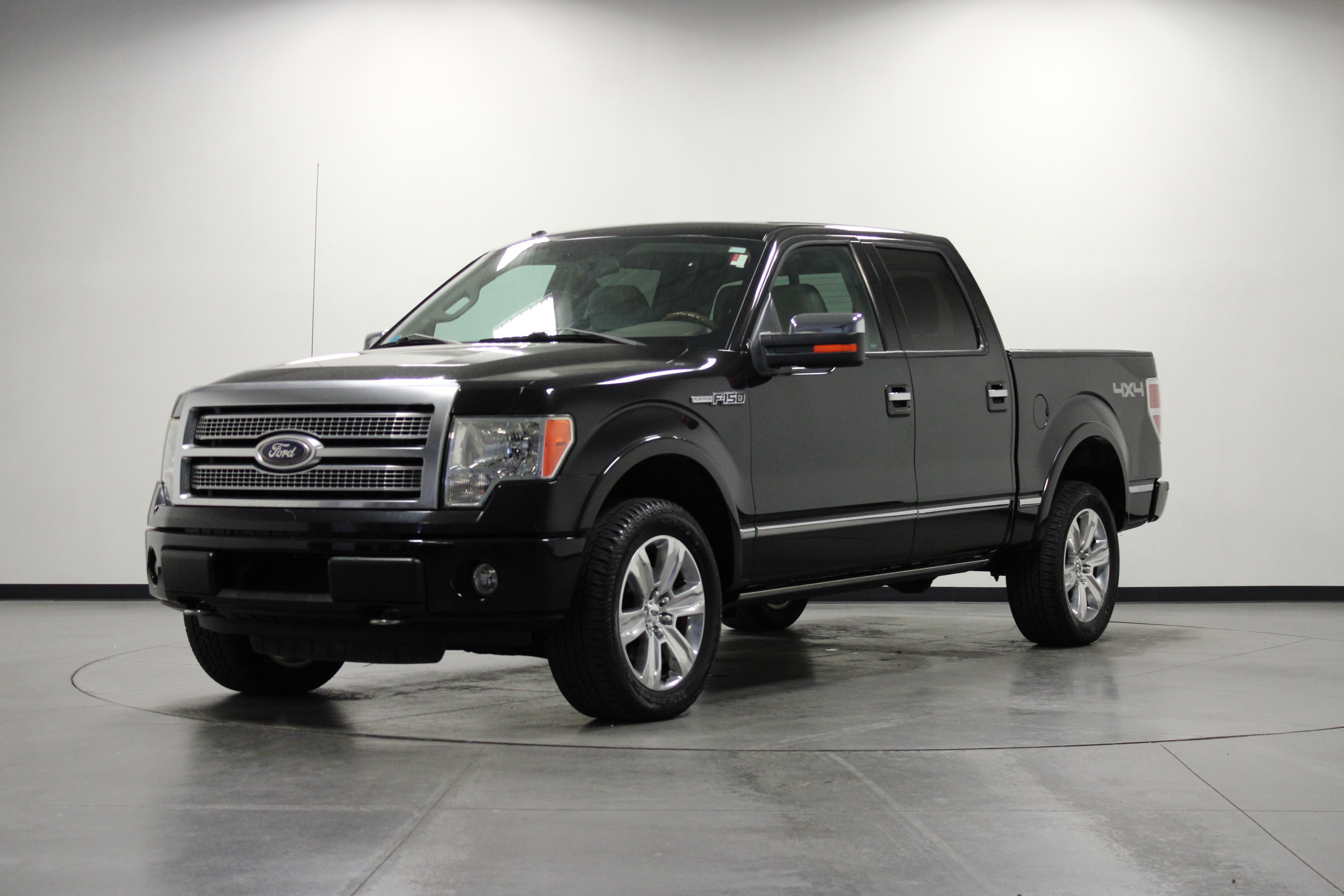 2010 Ford F-150 Platinum photo 7