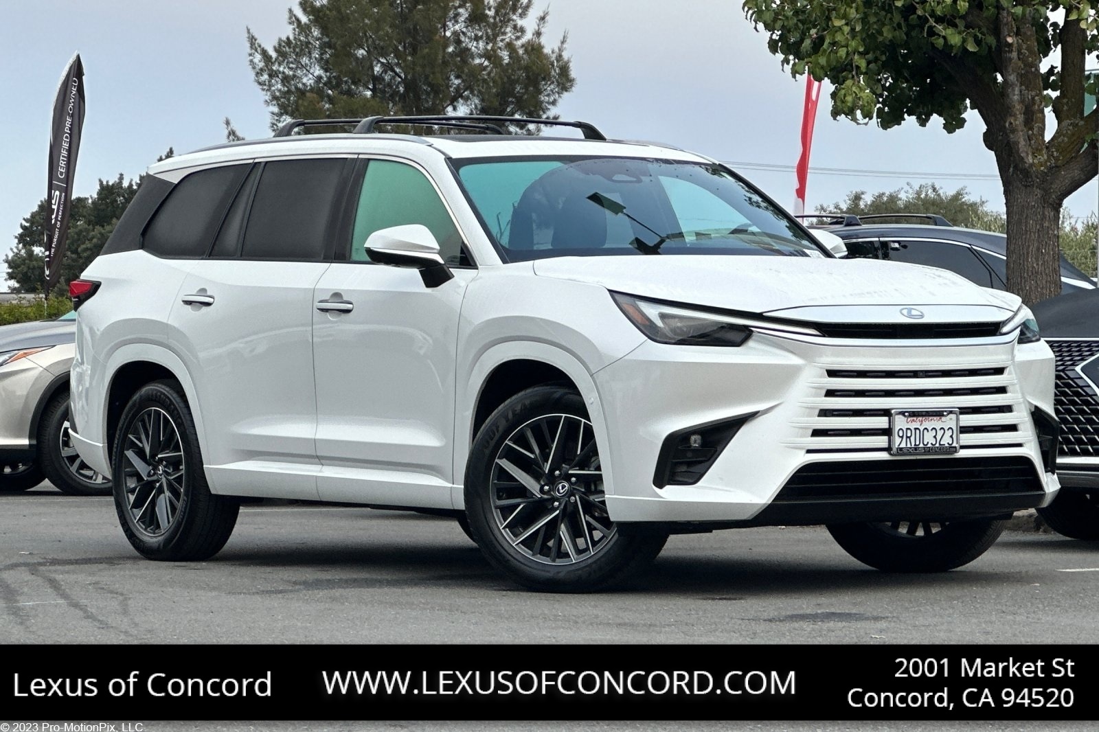 2024 Lexus TX 350's photo